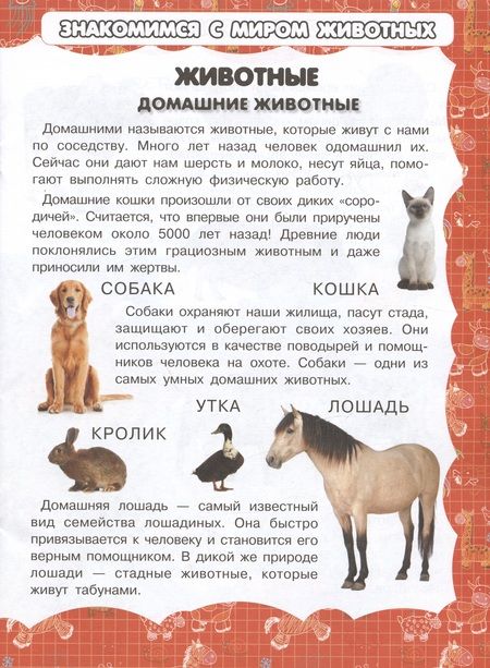 Фотография книги "И. Резько: Животные"