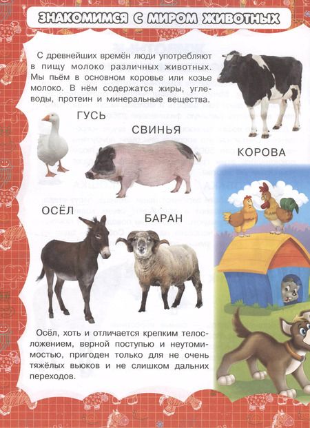 Фотография книги "И. Резько: Животные"