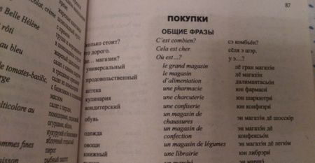 Фотография книги "И.В. Лисовская: Русско-французский разговорник"
