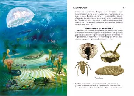 Фотография книги "И.В. Рябинина: Происхождение жизни"