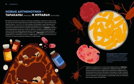 Фотография книги "И.В. Тимофеева: Дикие изобретения. 40 технологий, подаренных нам природой"