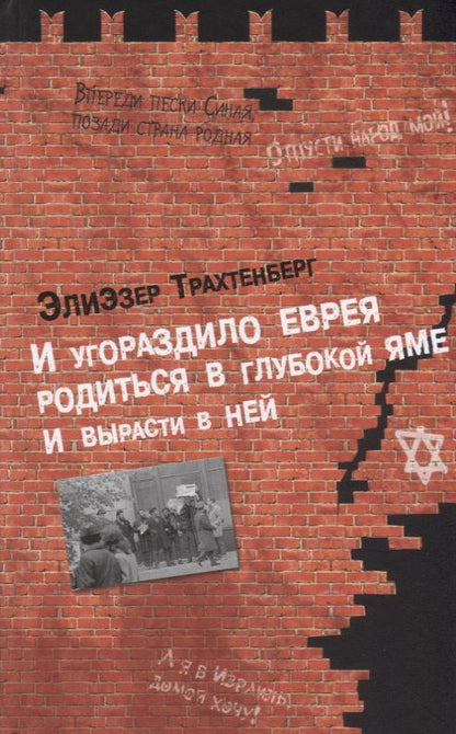 Обложка книги "И угораздило еврея родиться в глубокой яме и вырасти в ней"