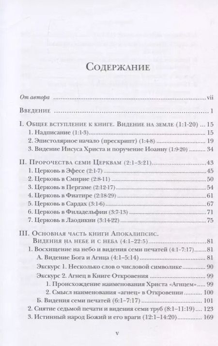 Фотография книги "Ианнуарий Архимандрит: "И увидел я новое небо и новую землю…". Апокалипсис. Богословско-экзегетический комментарий"