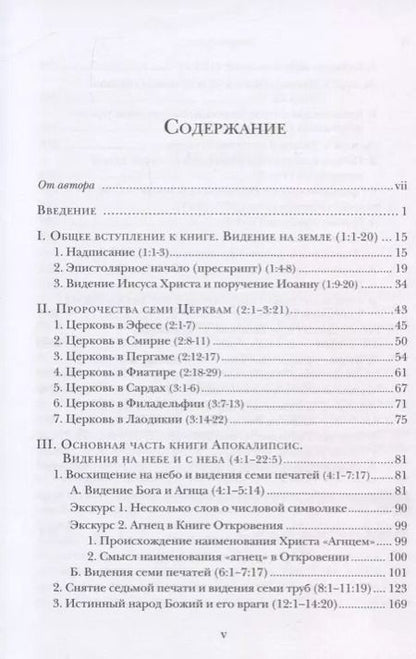Фотография книги "Ианнуарий Архимандрит: "И увидел я новое небо и новую землю…". Апокалипсис. Богословско-экзегетический комментарий"