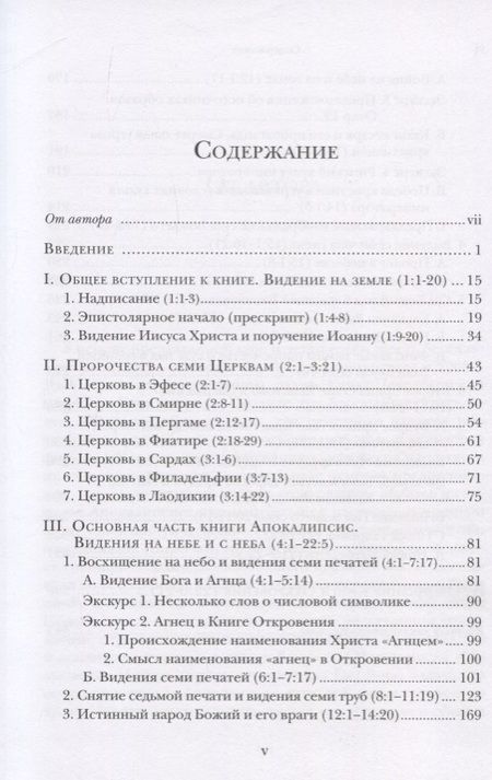 Фотография книги "Ианнуарий Архимандрит: "И увидел я новое небо и новую землю…". Апокалипсис. Богословско-экзегетический комментарий"