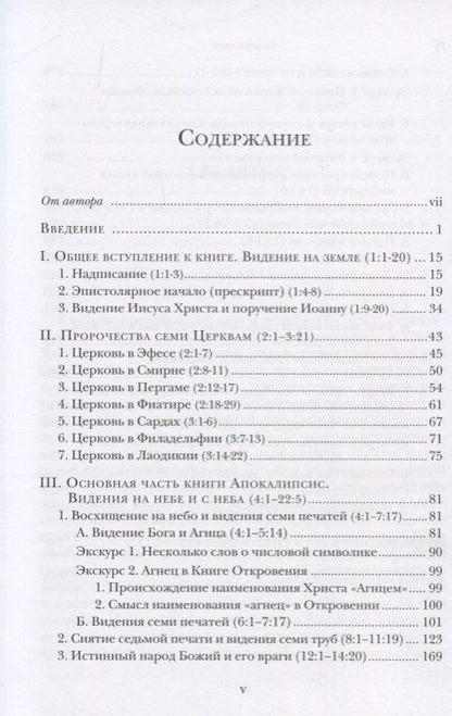 Фотография книги "Ианнуарий Архимандрит: "И увидел я новое небо и новую землю…". Апокалипсис. Богословско-экзегетический комментарий"