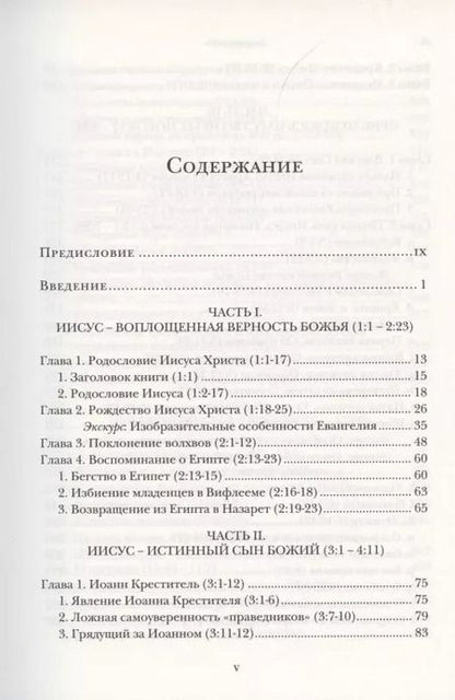 Фотография книги "Ианнуарий Ивлиев: Евангелие от Матфея. Богословско-экзегетический комментарий. Том 1. Том 2 (комплект из 2 книг)"