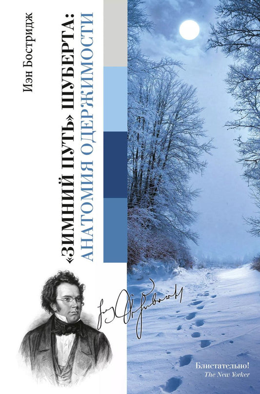Обложка книги "Иэн Бостридж: Зимний путь Шуберта: анатомия одержимости."