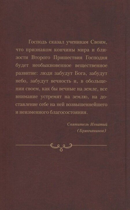 Фотография книги "Игнатий Брянчанинов: Приношение христианам последних времен"