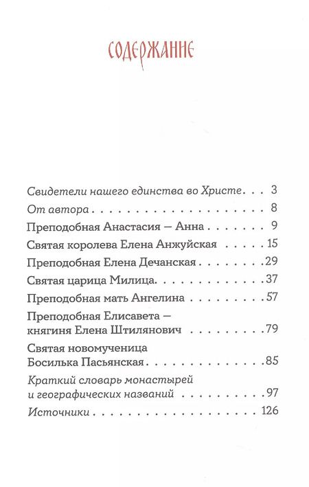 Фотография книги "Игнатий Шестаков: Святые сербские жены"