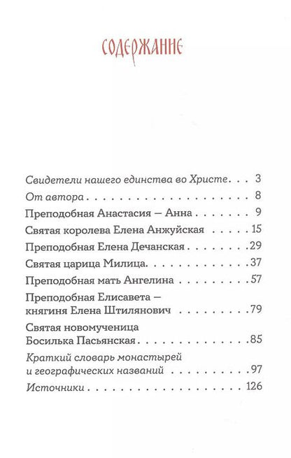 Фотография книги "Игнатий Шестаков: Святые сербские жены"