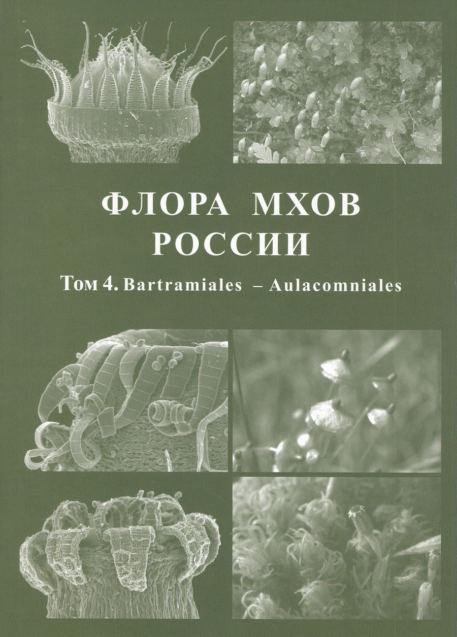 Обложка книги "Игнатов М.: Флора мхов России. Том 4. Bartramiales - Aulacomniales"
