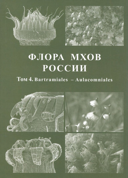 Обложка книги "Игнатов М.: Флора мхов России. Том 4. Bartramiales - Aulacomniales"