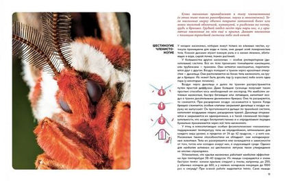 Фотография книги "Игорь Акимушкин: Мир животных. Рассказы о насекомых"