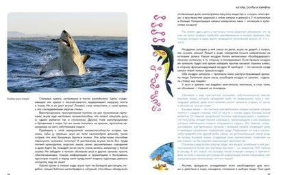 Фотография книги "Игорь Акимушкин: Мир животных. Рассказы о змеях, крокодилах, черепахах, лягушках, рыбах"
