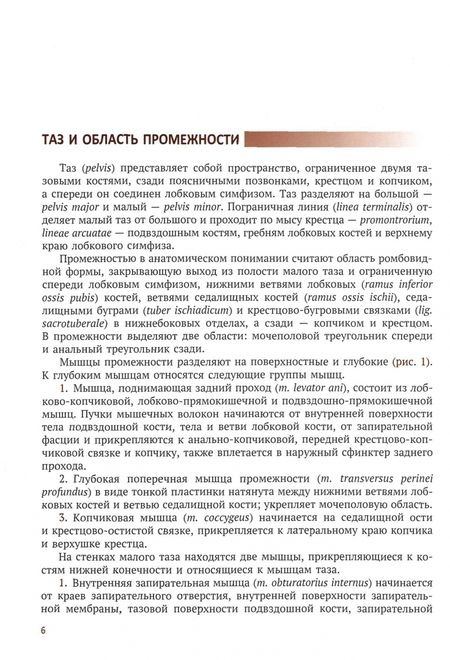 Фотография книги "Игорь Берлев: Интрафасциальные пространства в хирургии опухоли малого таза у женщин"