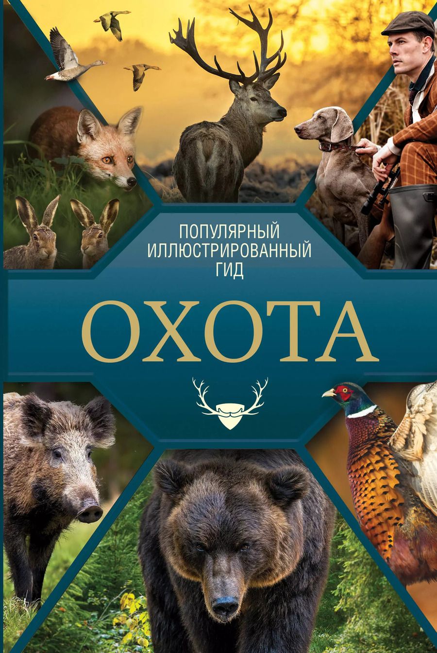 Обложка книги "Игорь Гусев: Охота. Популярный иллюстрированный гид"