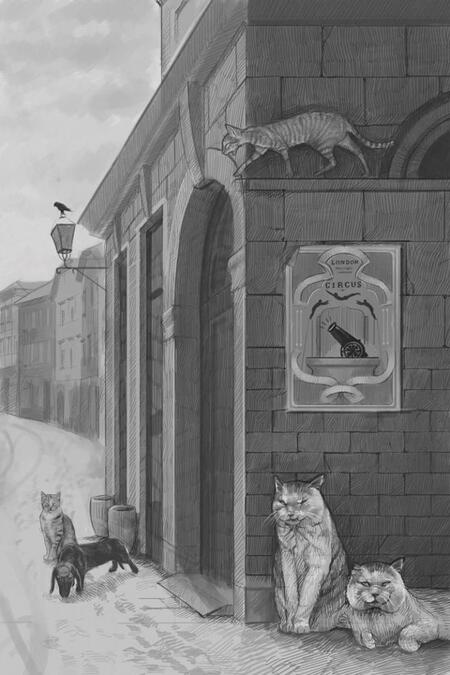 Фотография книги "Игорь Карде: Альма"