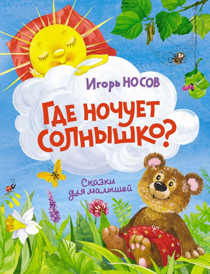Обложка книги "Игорь Носов: Где ночует солнышко?"