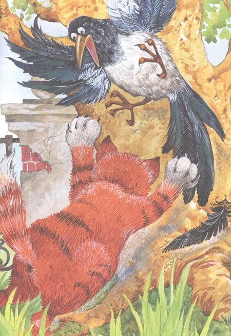 Фотография книги "Игорь Носов: Где ночует солнышко?"