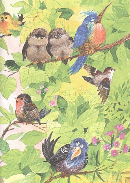 Фотография книги "Игорь Носов: Где ночует солнышко?"