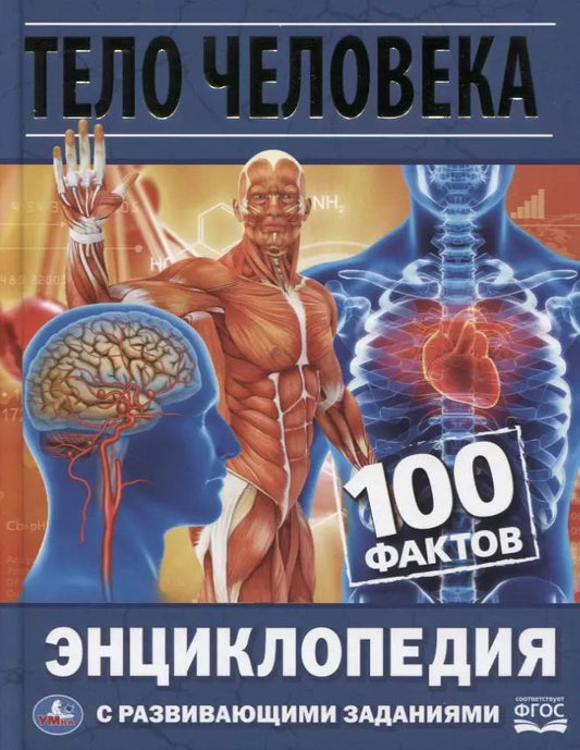 Обложка книги "Игорь Павлинов: Тело человека. 100 фактов. Энциклопедия с развивающими заданиями"