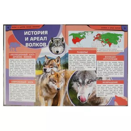 Фотография книги "Игорь Павлинов: Волки. В царстве лесных охотников"