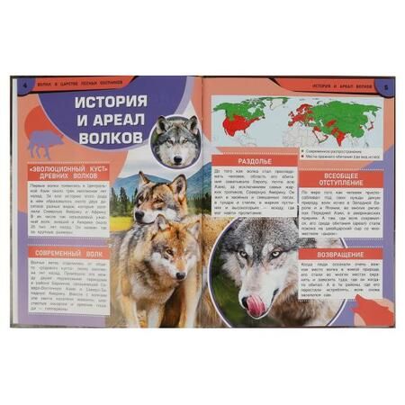Фотография книги "Игорь Павлинов: Волки. В царстве лесных охотников"