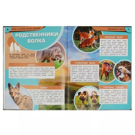 Фотография книги "Игорь Павлинов: Волки. В царстве лесных охотников"