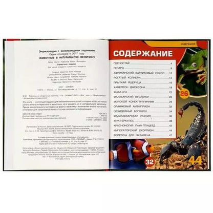 Фотография книги "Игорь Павлинов: Животные в натуральную величину"