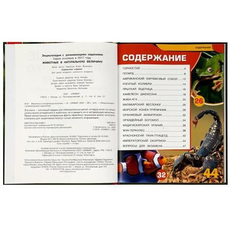 Фотография книги "Игорь Павлинов: Животные в натуральную величину"