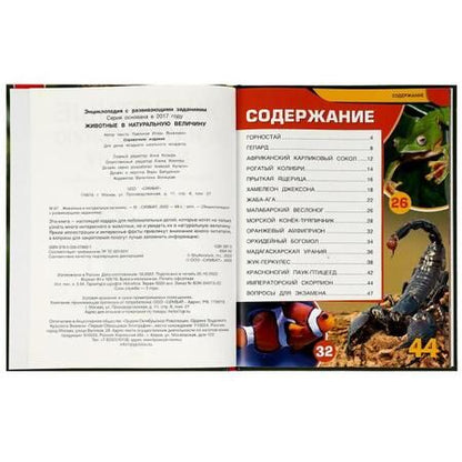 Фотография книги "Игорь Павлинов: Животные в натуральную величину"