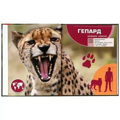 Фотография книги "Игорь Павлинов: Животные в натуральную величину"