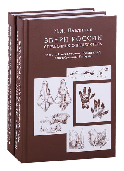 Обложка книги "Игорь Павлинов: Звери России. Справочник-определитель (комплект из 2 книг)"