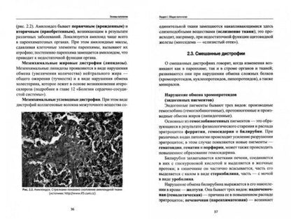 Фотография книги "Игорь Ремизов: Основы патологии. Учебник"