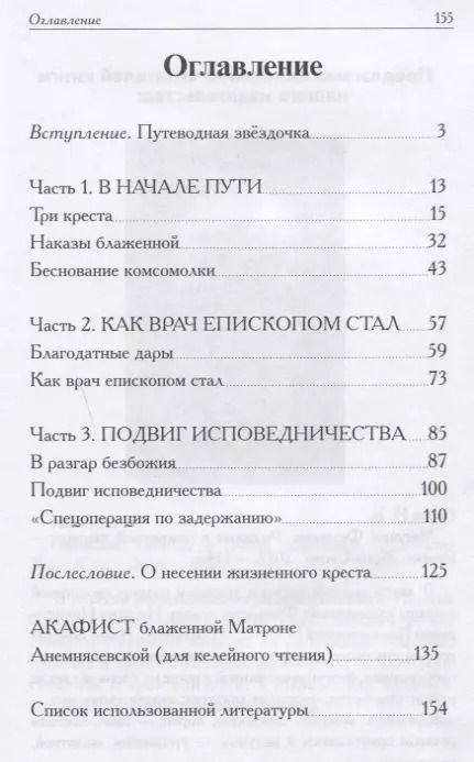 Фотография книги "Игорь Евсин: Матронушка. Рассказы о блаженной Матроне Анемнясевской (с приложением акафиста)"