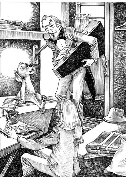 Фотография книги "Игорь Жуков: Библиотека царя Бабуина III, или Приключения в Бронсонии"