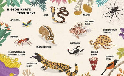 Фотография книги "Ико Ромеро: Ядовитые животные. Кто, зачем и как использует яды в дикой природе"