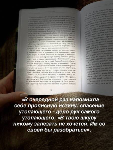 Фотография книги "Ила Сафа: Туманный урок"