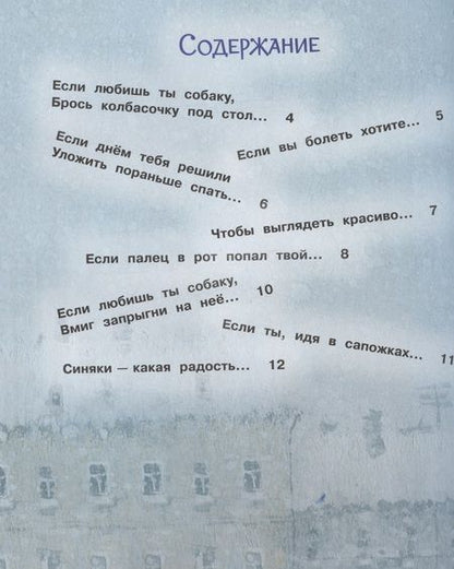 Фотография книги "Ильдар Нурисламов: Весёлые советы по воспитанию родителей, соседей и собак"