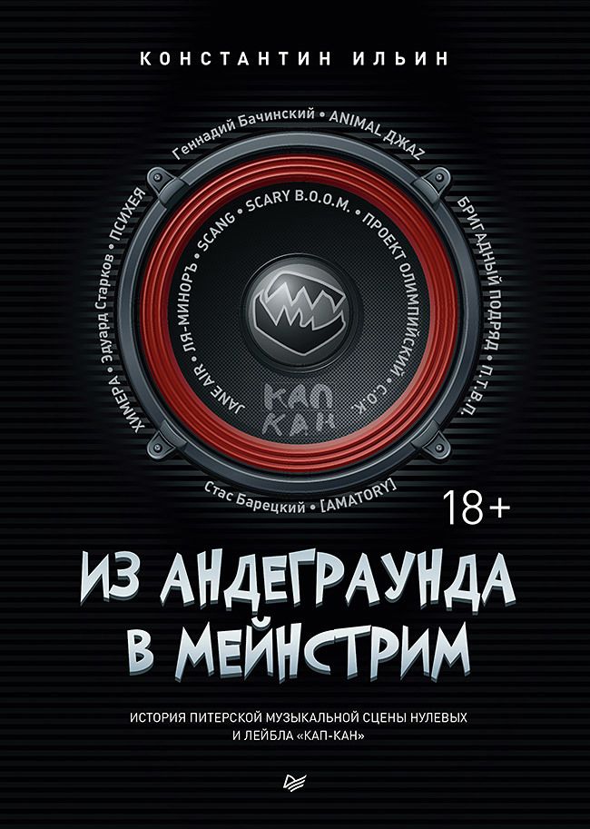 Обложка книги "Ильин: Из андеграунда в мейнстрим. История питерской рок-сцены"