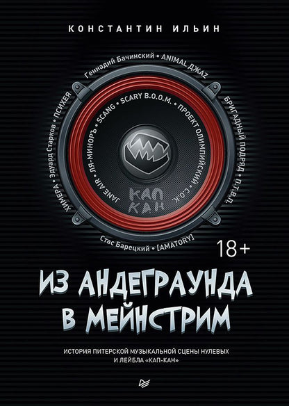 Обложка книги "Ильин: Из андеграунда в мейнстрим. История питерской рок-сцены"