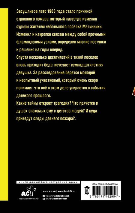 Фотография книги "Ильина: Фламандская петля"
