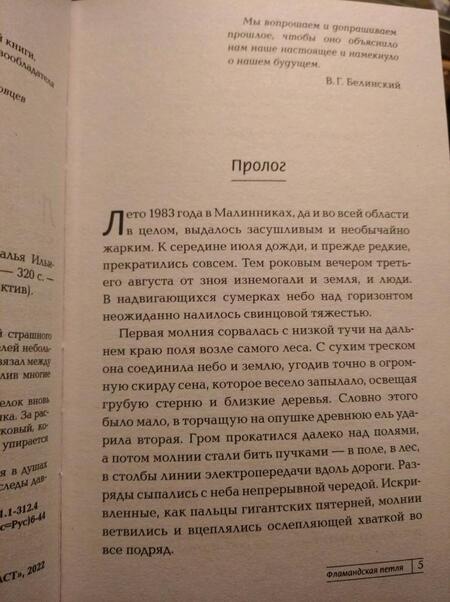 Фотография книги "Ильина: Фламандская петля"