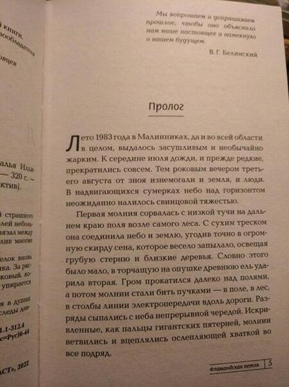 Фотография книги "Ильина: Фламандская петля"