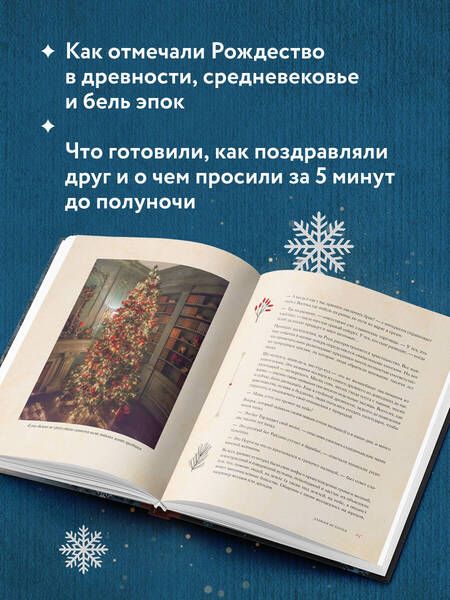 Фотография книги "Ильина: Новый год и Рождество. Волшебная история зимнего праздника от древности до наших времён"