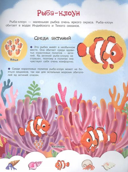 Фотография книги "Иллария Барсотти: Кто живет в гнездышке? С наклейками"