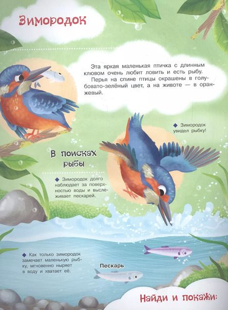 Фотография книги "Иллария Барсотти: Кто живет в норке? С наклейками"