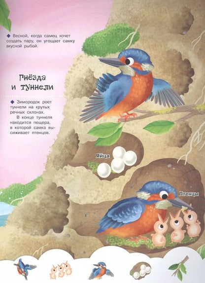 Фотография книги "Иллария Барсотти: Кто живет в норке? С наклейками"