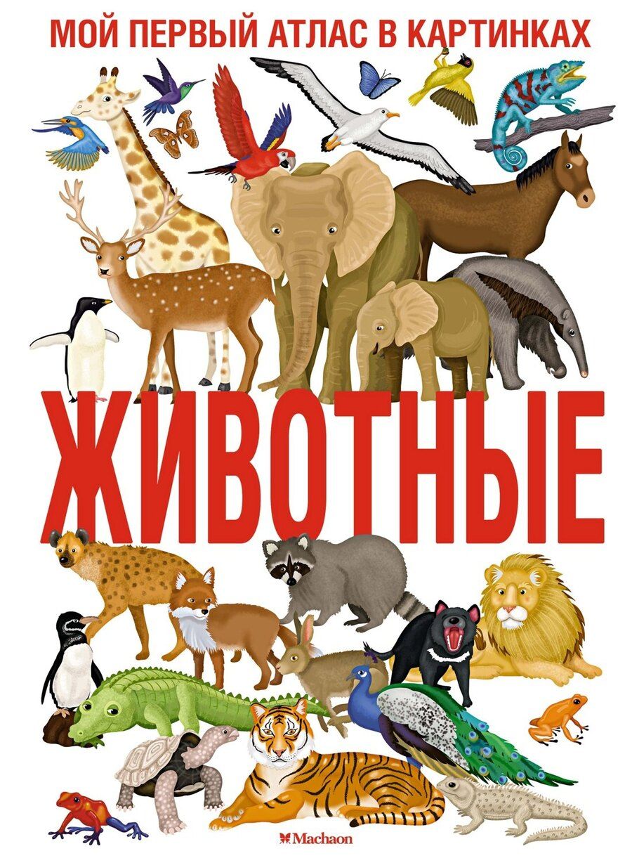 Обложка книги "Иллария Барсотти: Животные. Мой первый атлас в картинках"